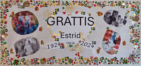Estrid 100